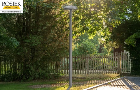 Latarnia parkowa LED - RING 1 LED rosa 4m