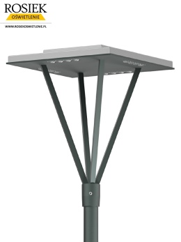 Oprawa parkowa MIZAR LED rosa 48, 4000K