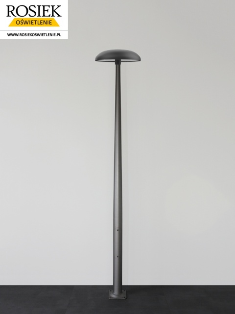 Latarnia parkowa RIND 1 LED rosa 4m