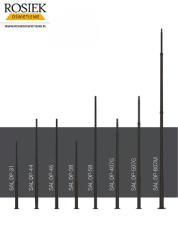Słup oświetleniowy 8m SAL DP-807M rosa